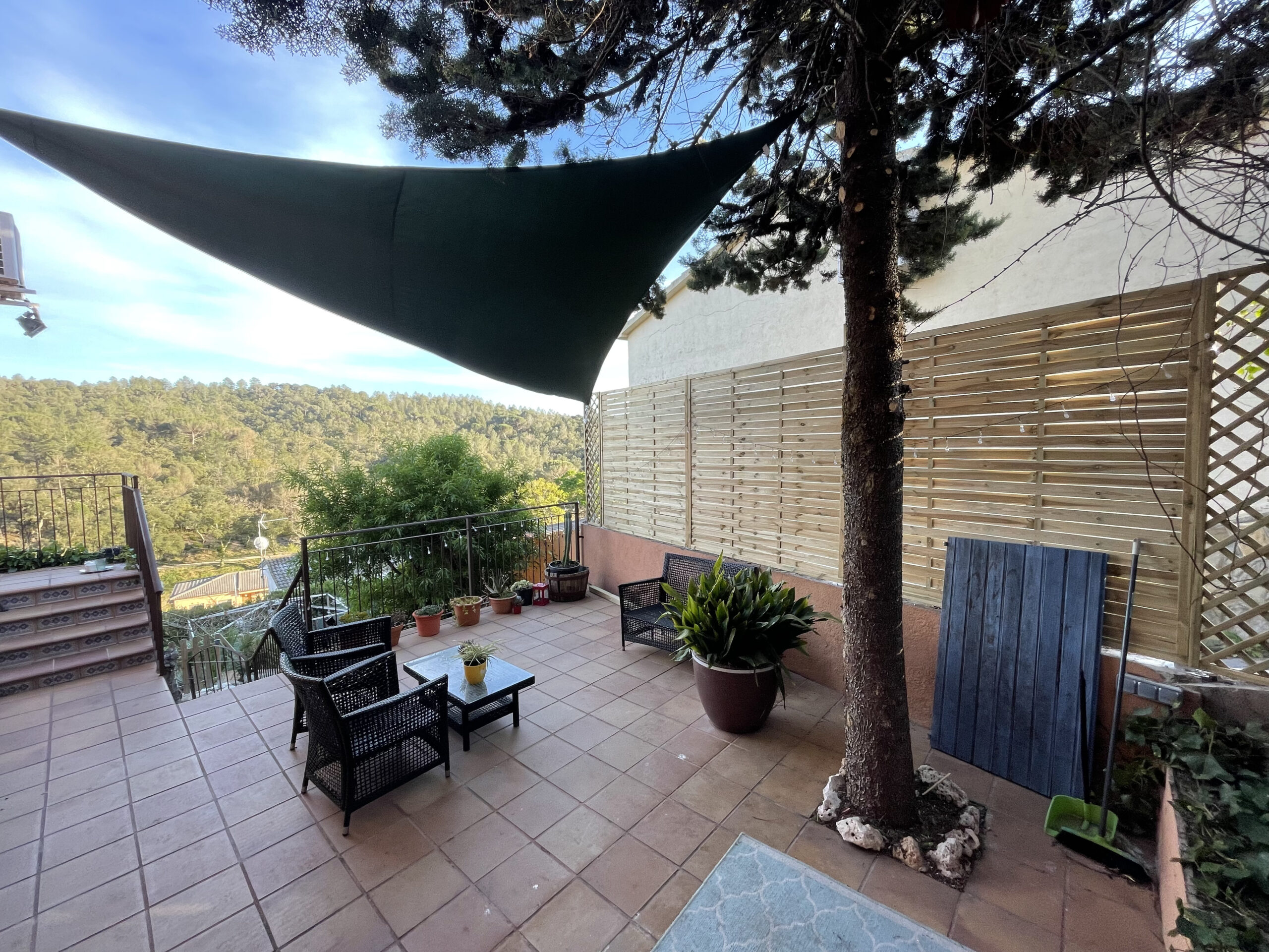 Brezo decorativo en terraza con vista panorámica